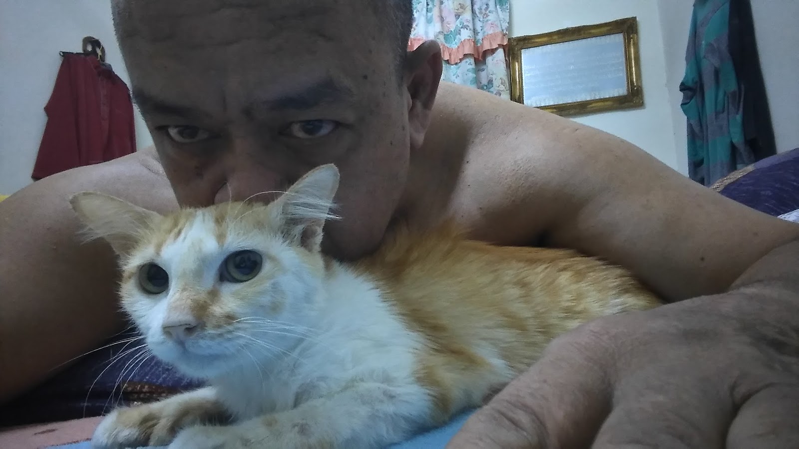 JKCR Cats Rescue ( JamilKucing Cats Rescue ) My Six Fingers Cats