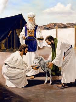 offering sin leviticus covenant priest blood aaron moses jesus offerings bible animals jewish layman door tabernacle lamb sacrifice passover christ