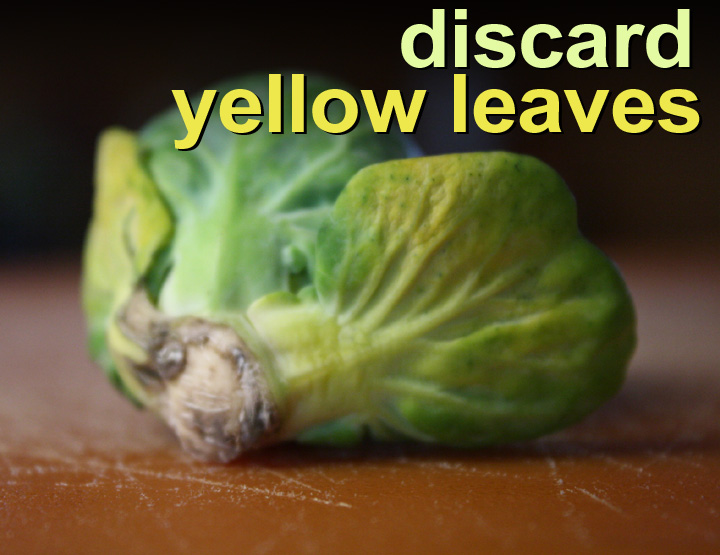 The 99 Cent Chef Roasted Brussels Sprouts VIDEO