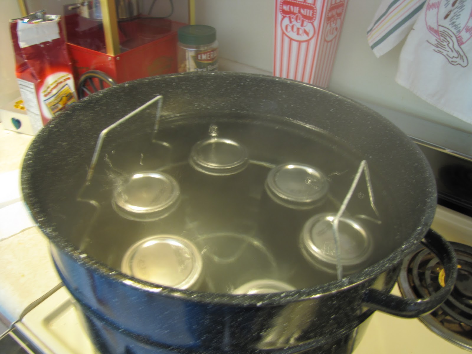 PREPARE TODAY Prepare Today HomemadeCanning Maple Flavored Pancake Syrup