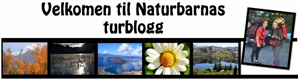 Naturbarnas Turblogg