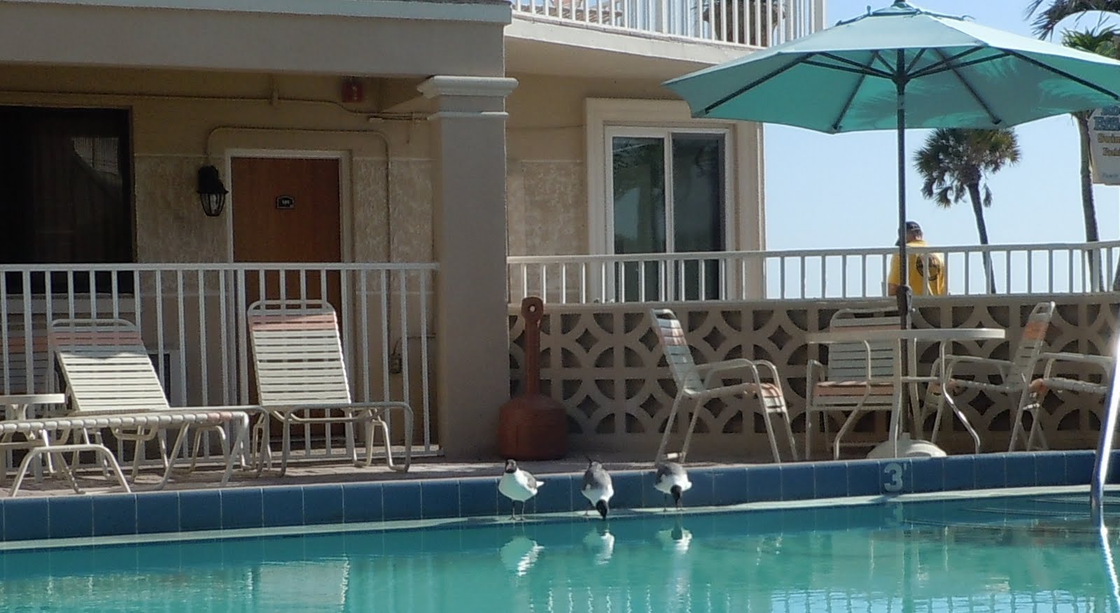 Connee S Vacations Pass A Grille Beach St Pete Florida