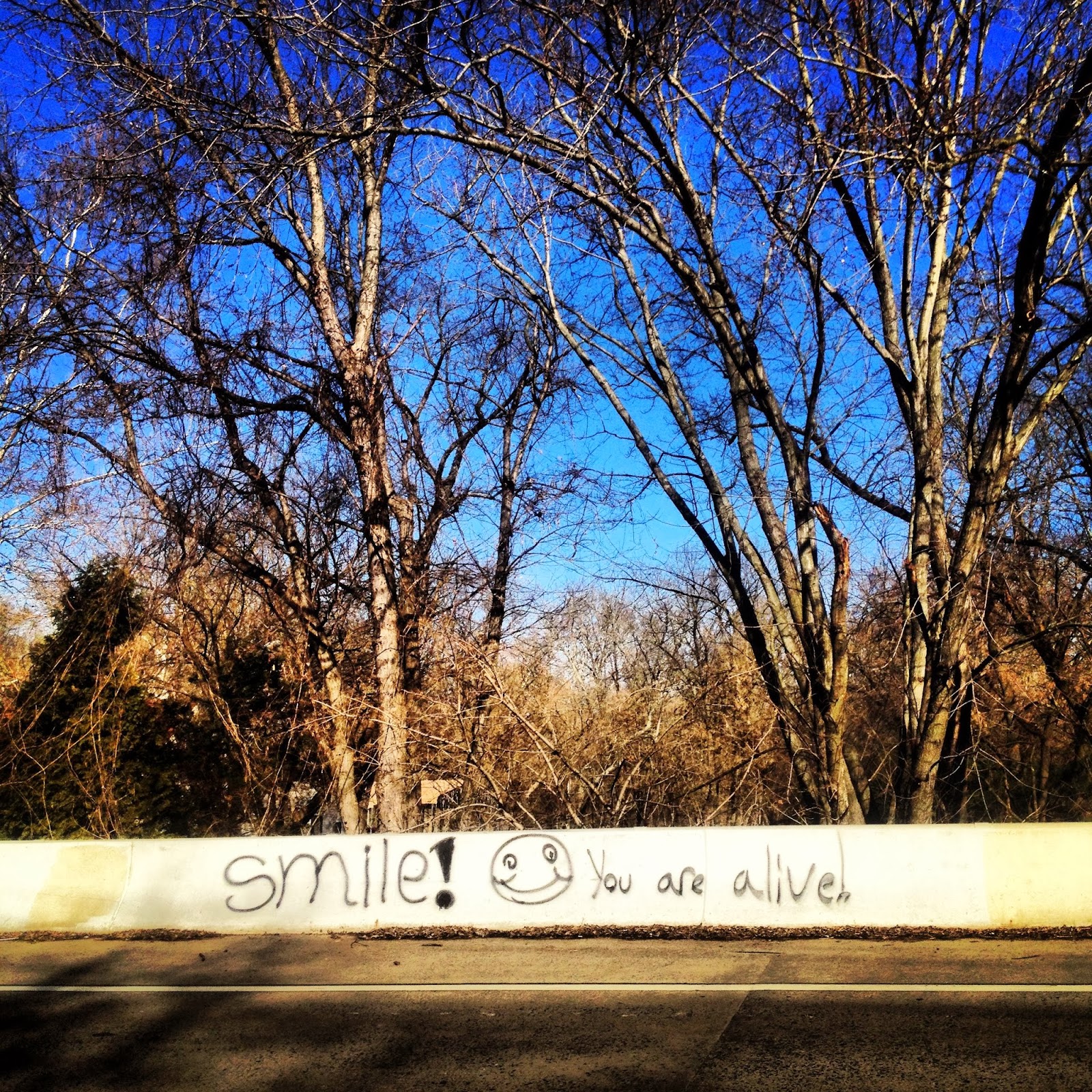 Delaware Anti Graffiti Brigades BR1236 Red Mill Road White Clay Creek