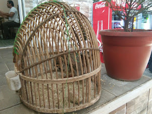Quail in a cage in "Bobor Shashlikxanasi " restaurant.