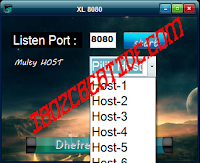 XL - 8080 Inject Luna Multiple Host 1.0 XL - 8080 Inject Luna Multiple Host 1.0