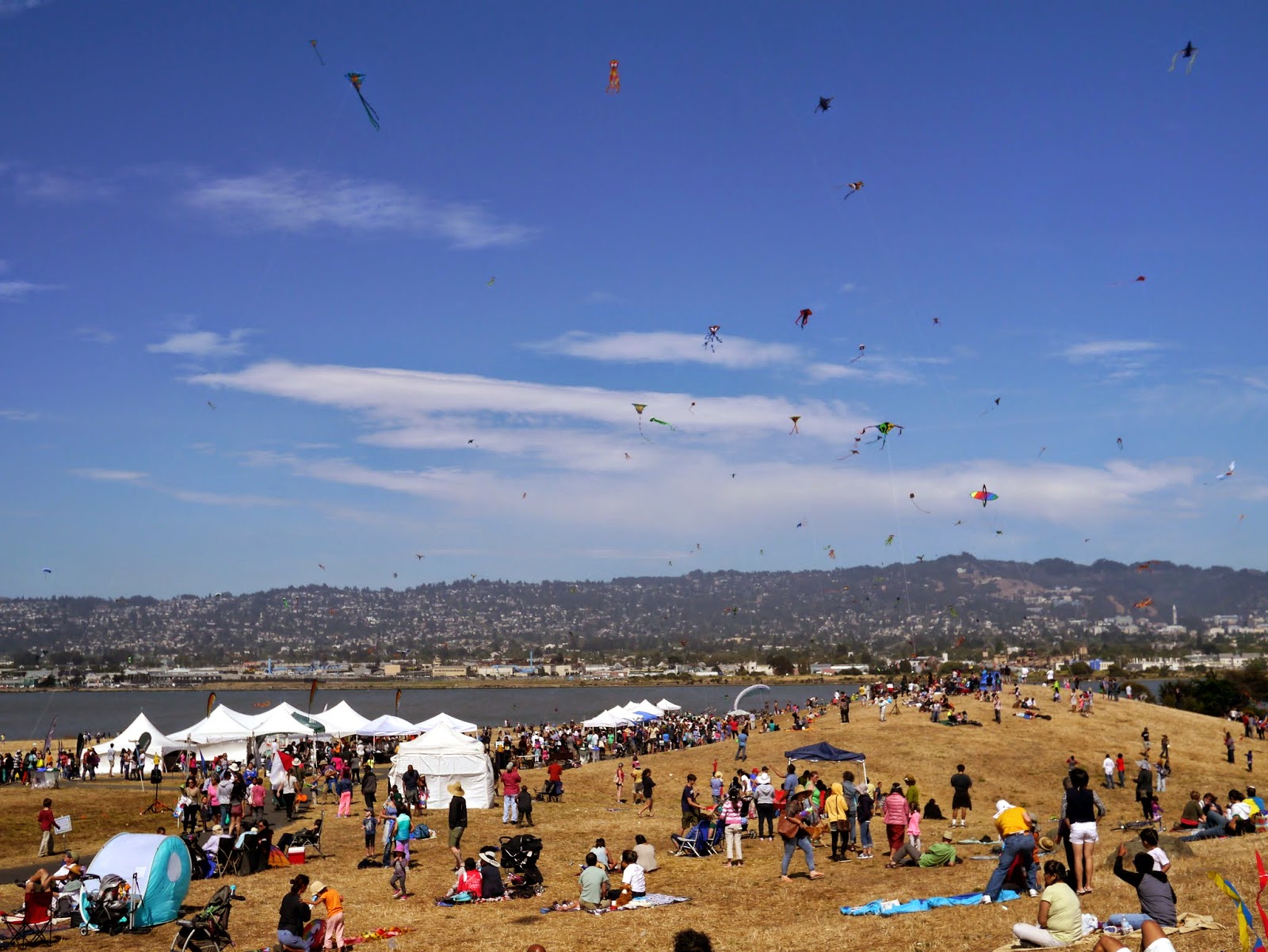 Day two of our super busy festival filled weekend was spent at the