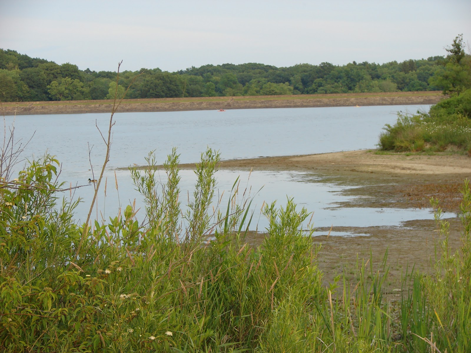 Pymatuning Photo Gallery PHOTO GALLERY OF LAKE