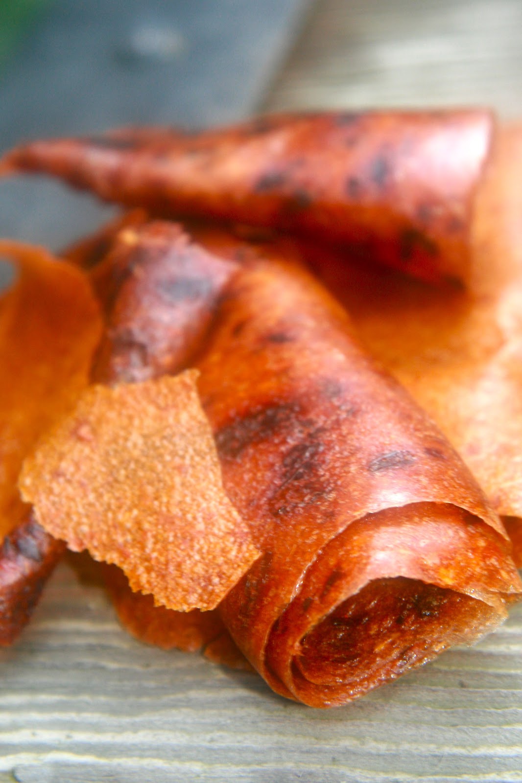 The Homemade Renegade Fruit Leather Fun Make your own