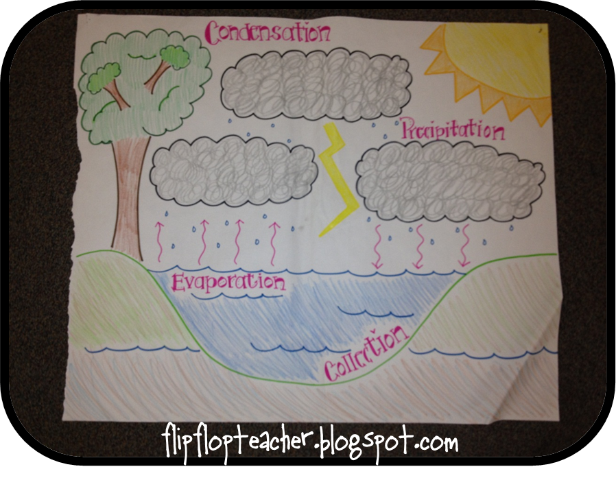 Science Anchor Charts Middle School