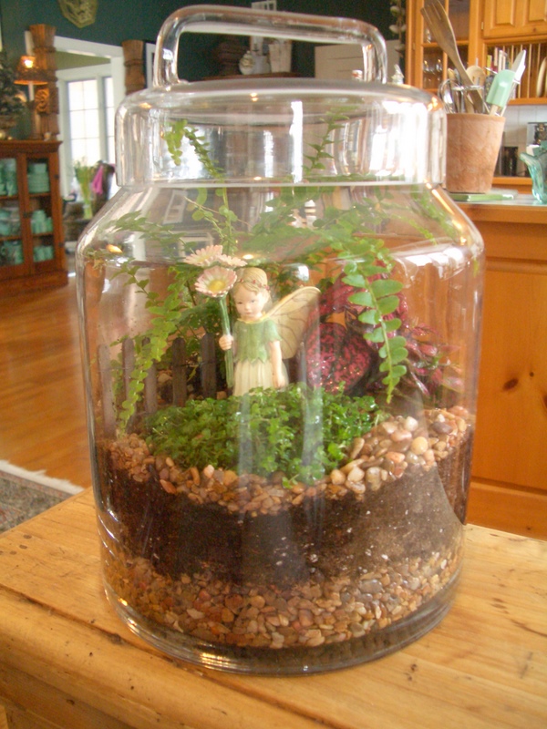Cool Home Creations Bring in the Outdoors Terrarium (Second Edition)