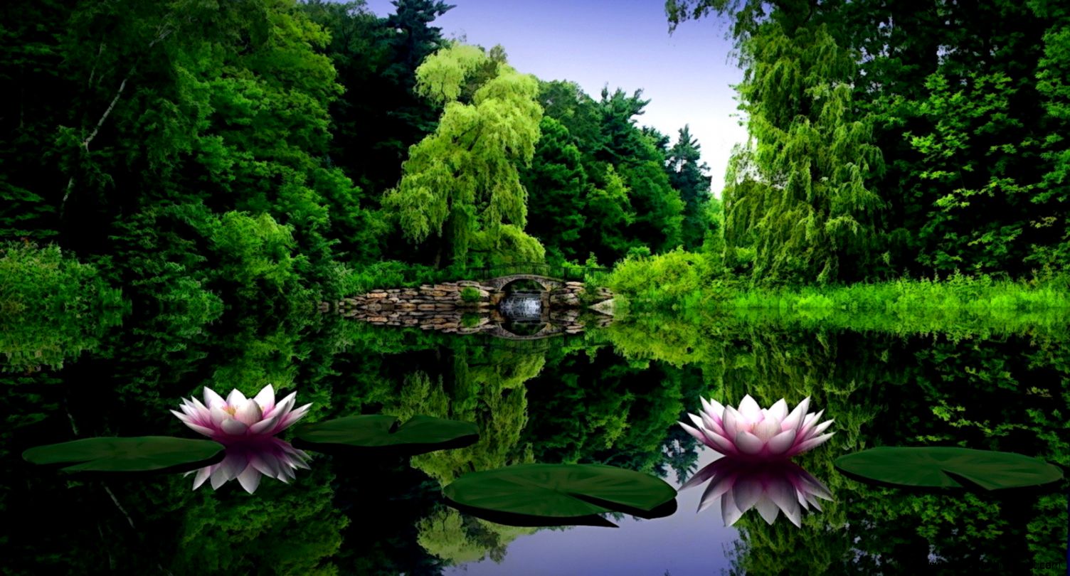 Nature Wallpaper HD Nature Wallpaper HD
