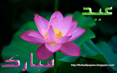 Eid Ul Zuha Adha Mubarak 2012 Card Flower Wallpapers Urdu Text 011