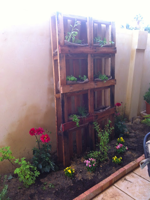 Blessed Beyond Measure: DIY Pallet Herb Garden