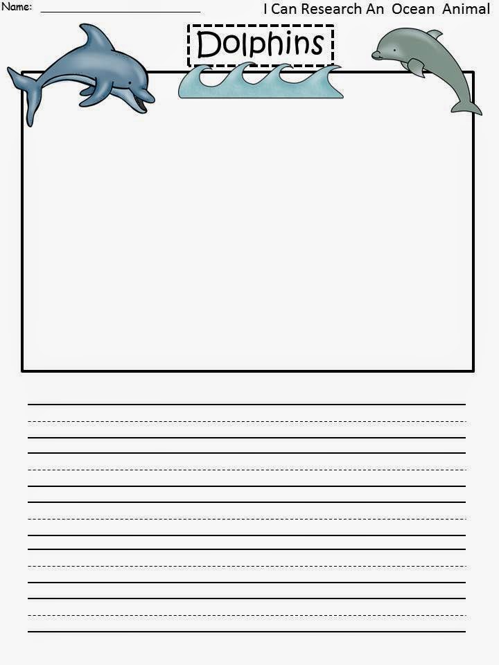 Playful dolphins picture