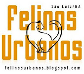 Projeto Felinos Urbanos