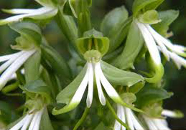 kenhantan.blogspot.com