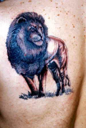mechanical tattoo designs david beckham Lion Tattoo Design