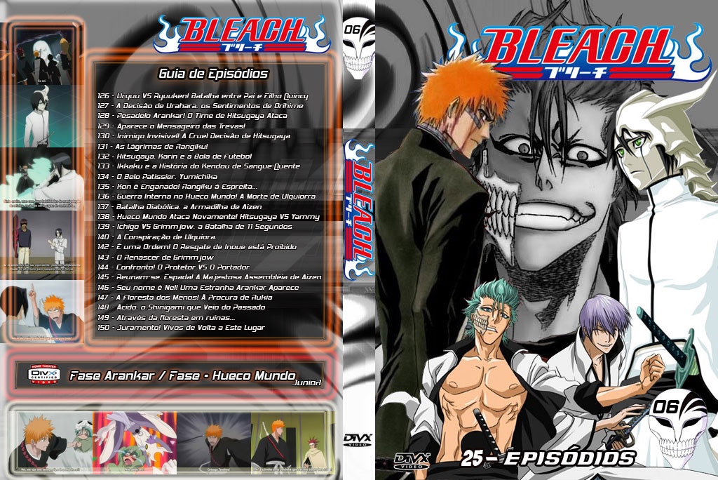 Bleach Volume 6