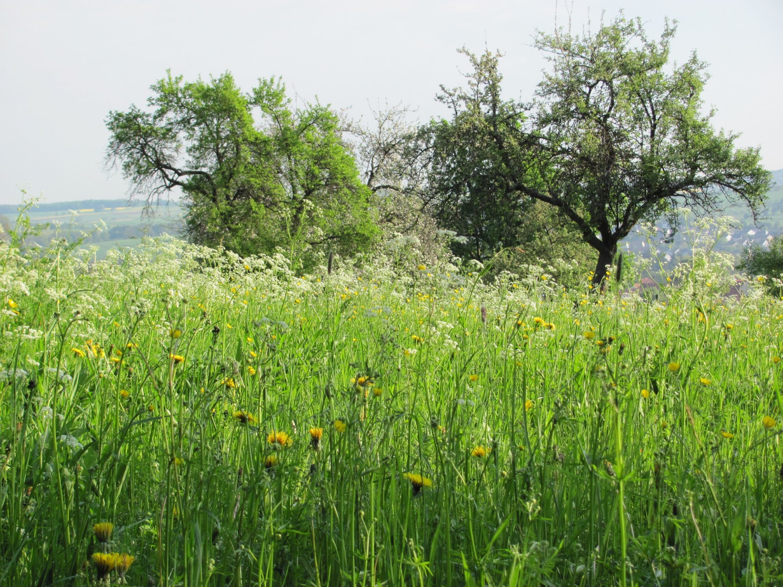 Die Skyline Von San Francisco Oder Nahen Ist Wie Zaubern Konnen