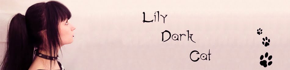 Lily Dark Cat