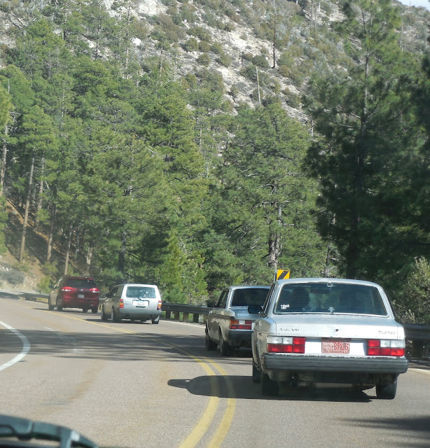 volvos in a row