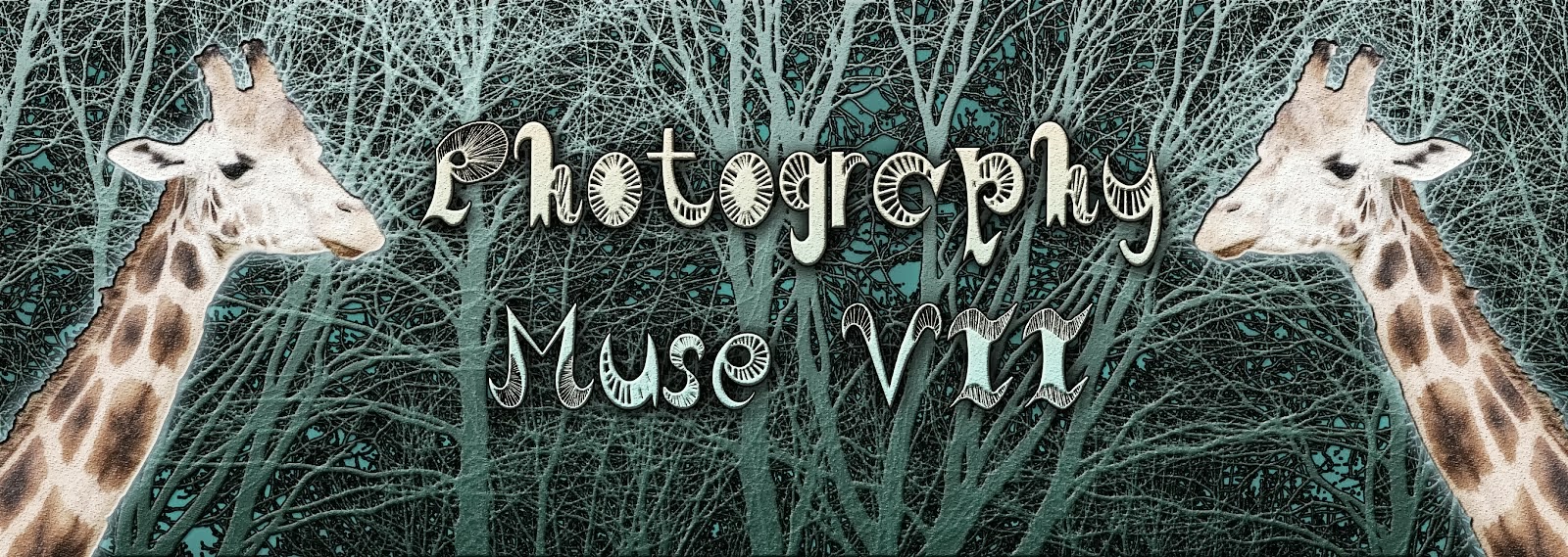 Photography Muse VII