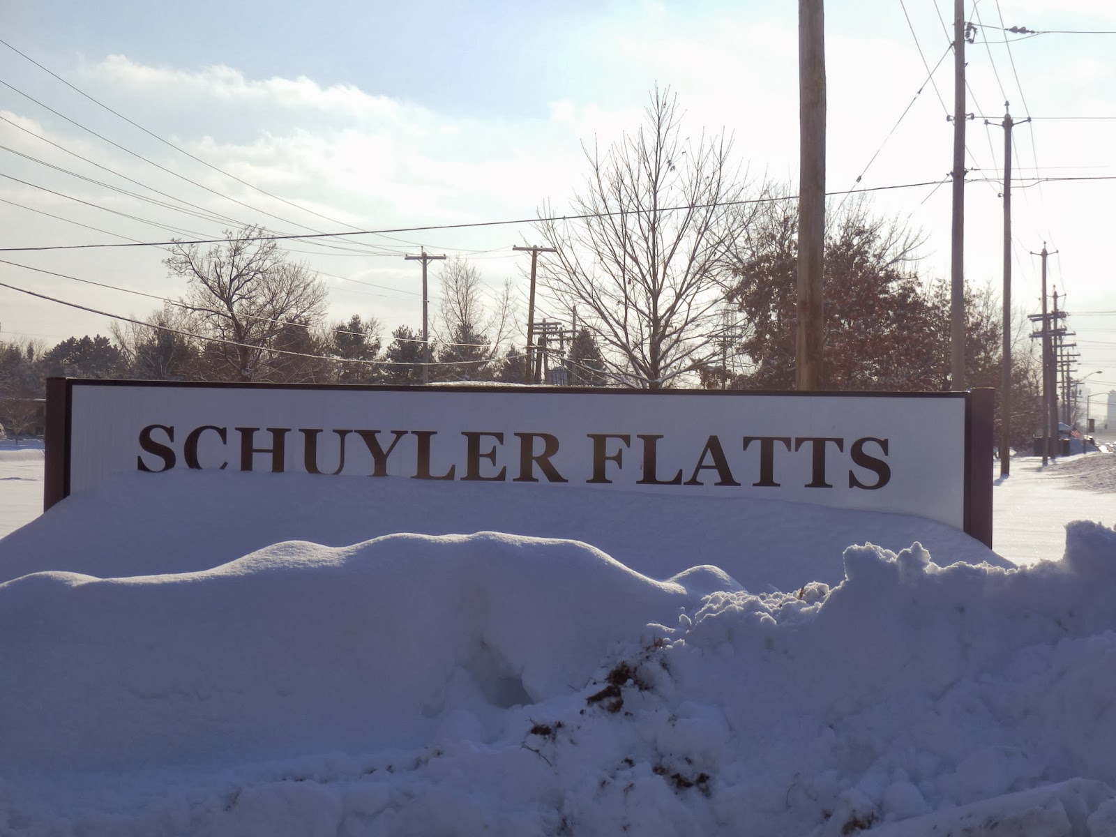 Walking Man 24 7 Schuyler Flatts Cultural Park