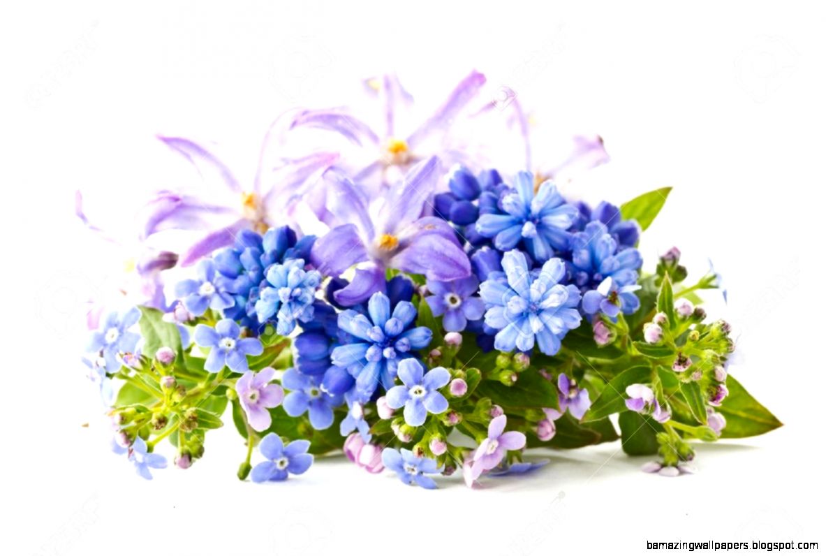 Beautiful Bouquet Of Spring Flowers On A White Background Stock Beautiful Bouquet Of Spring Flowers On A White Background Stock