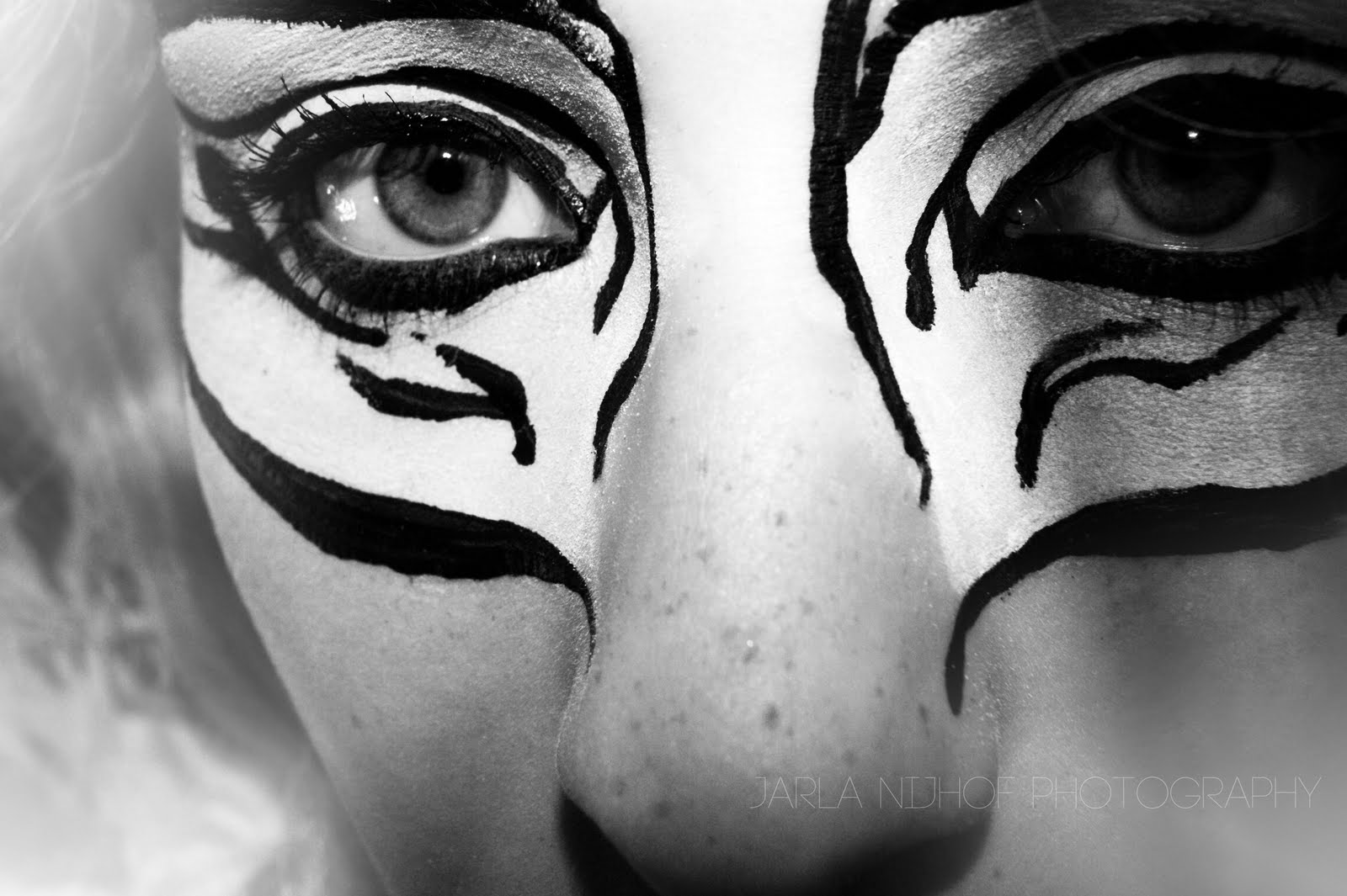 Tiger Schminken Bilder