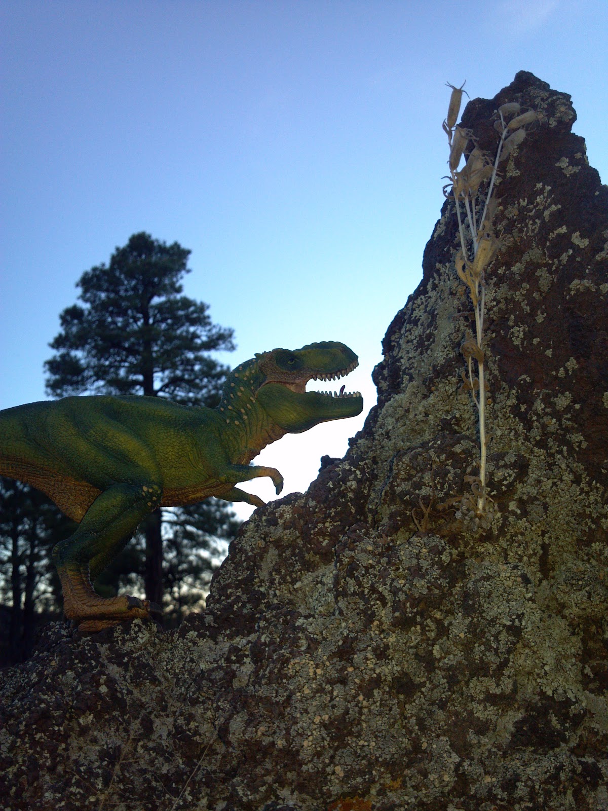 Arizona Highways with J.R. Arizona Dinosaur Tracks