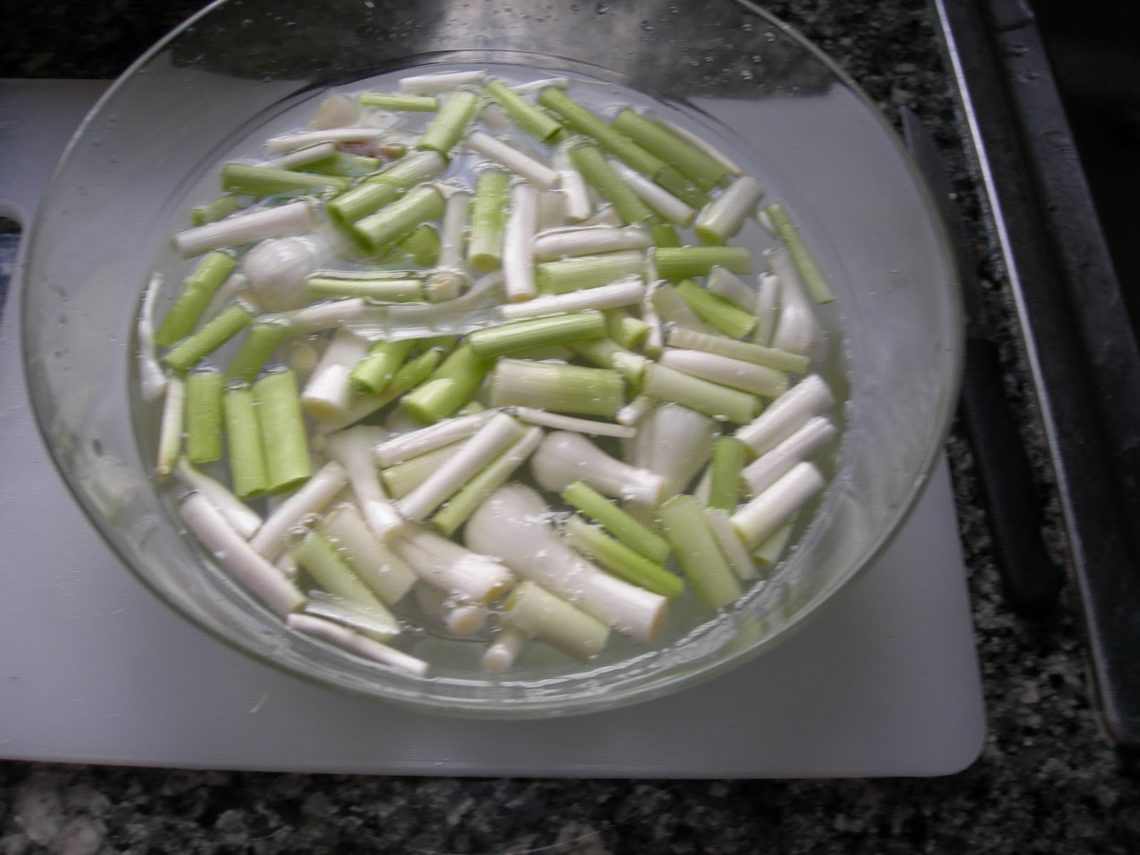 elrincondeatalaya4 Ajos porros