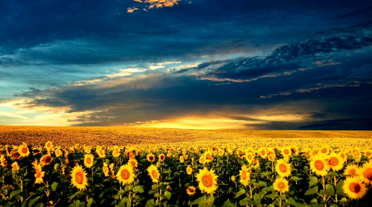 20 Amazing Nature Full HD Wallpapers 1080p 20 Amazing Nature Full HD Wallpapers 1080p