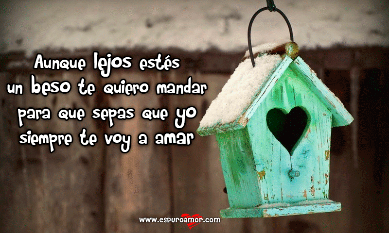 This Imagenes De Poemas De Amor Para Dedicar Just Went Viral See Why - k1wruzi