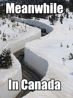 Meanwhile In Canada