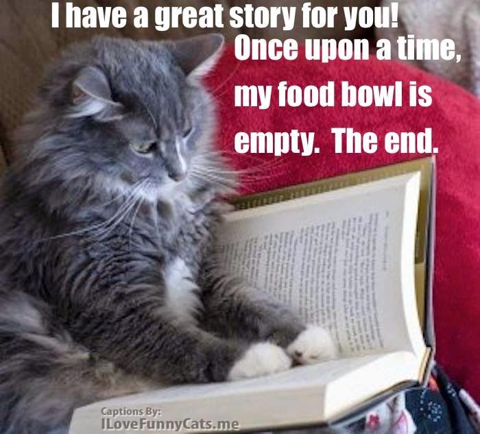 Cats Rule Do I Wunts to Be Nice Today?