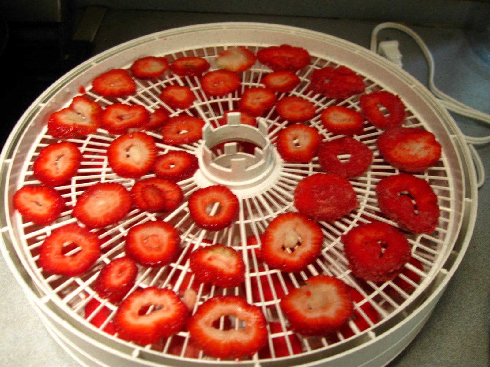 Bacon and Eggs Dehydrating Instructions For Vegetables