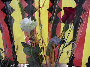 SANT JORDI 2013