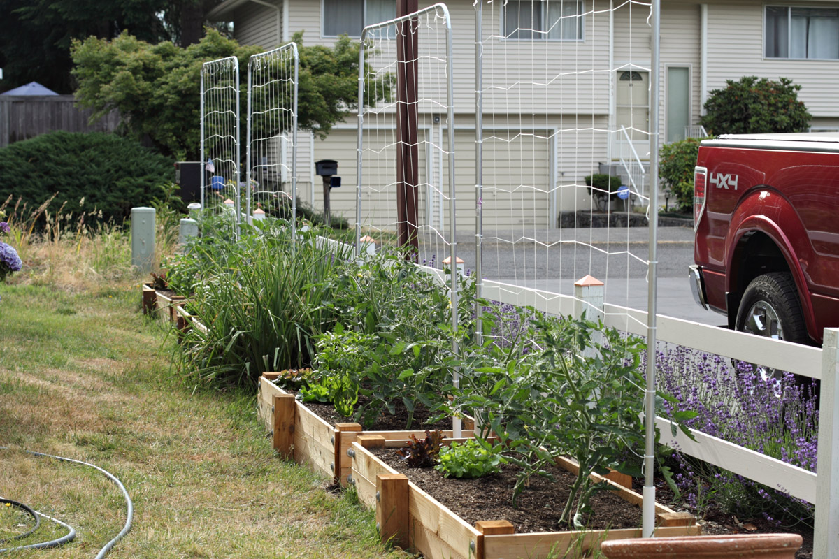 "We do it the Hard Way" Conduit Trellis Frames