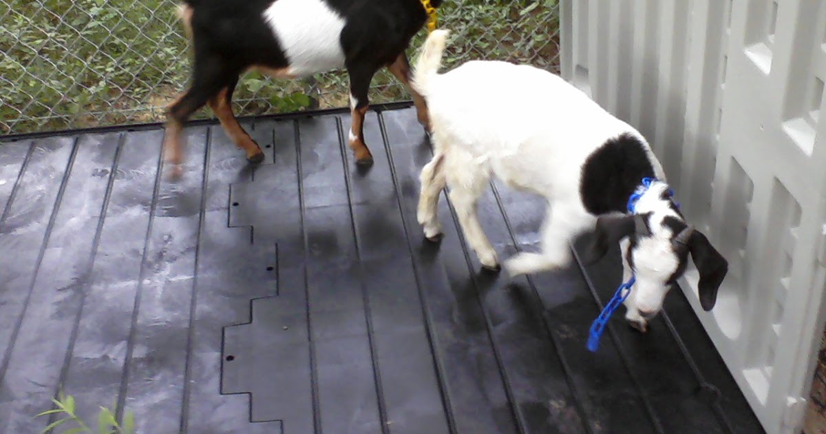 Ore How to disassemble rubbermaid storage shed