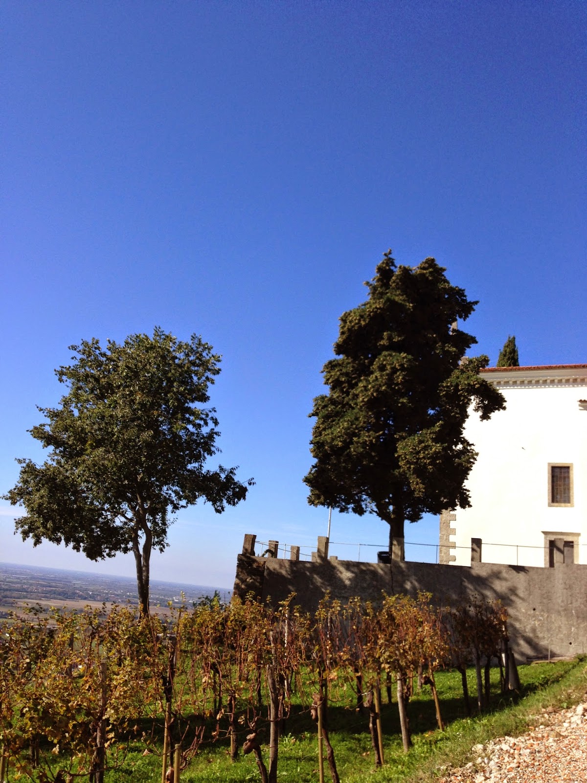 Aromenspiele Online Magazin