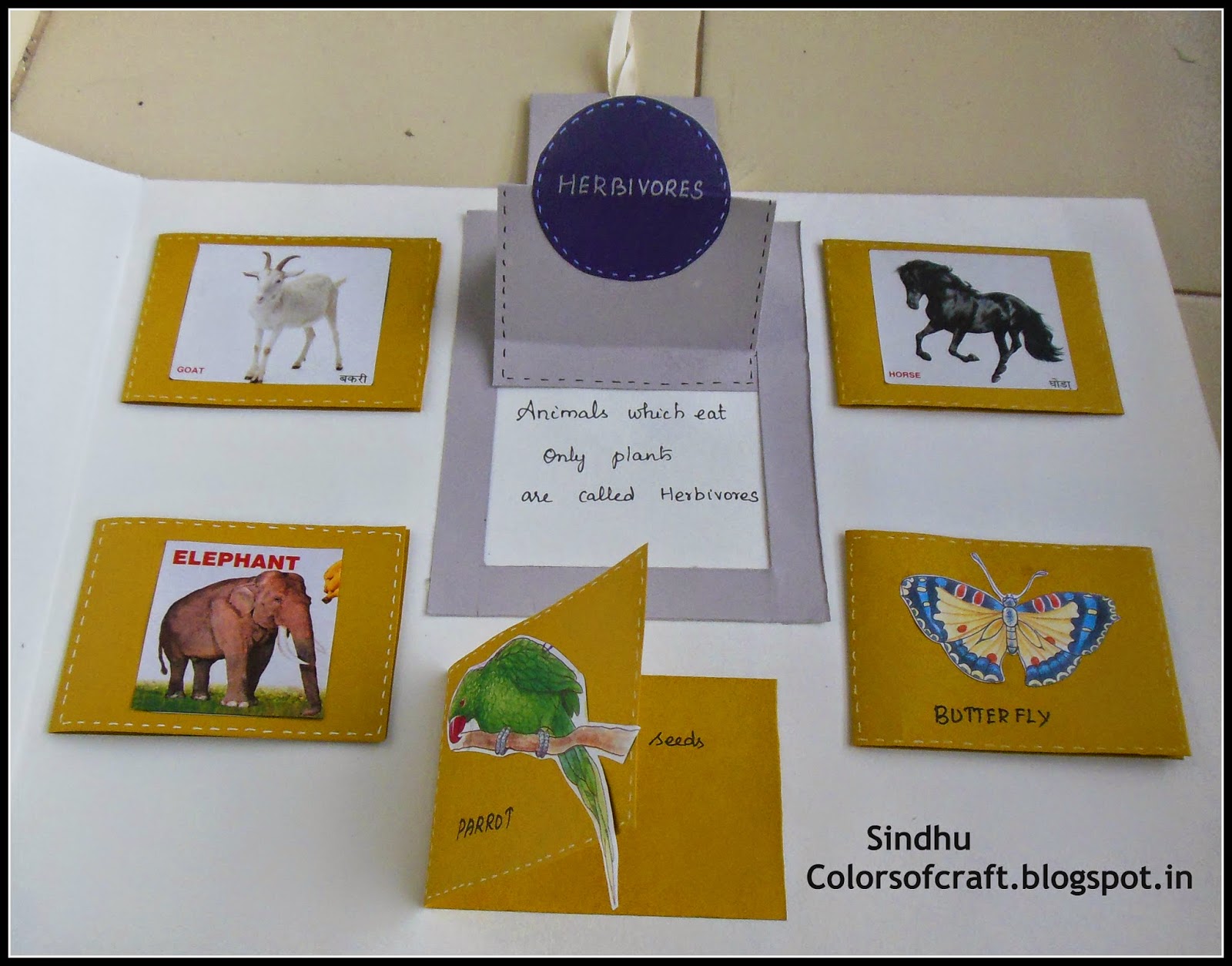 Colors of My Crafty World: Eating habits of Animals - School Project