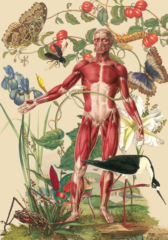 Mujeres al borde de un ataque de nervios Peliculas IO