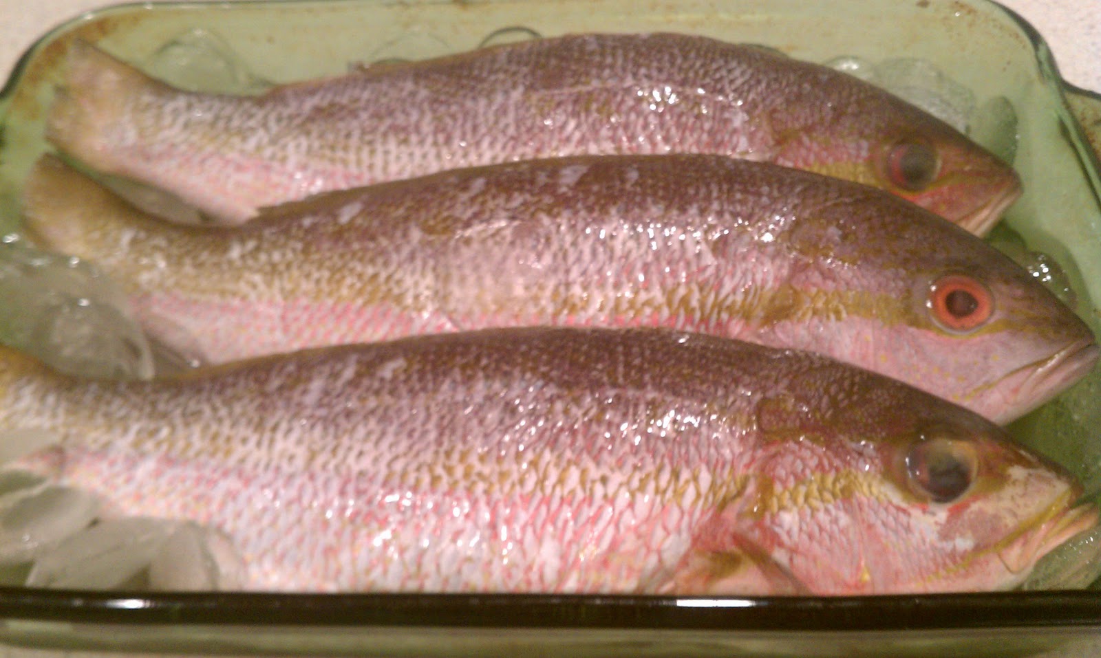 Eat Fit . Live Well Jamaica Steamed Fish & Okra