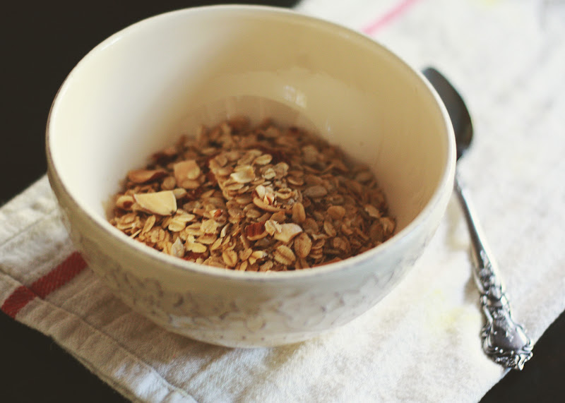 Nerd and Healthnut Sugarfree Granola