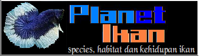 Planet Ikan