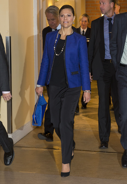 Crown Princess Victoria of Sweden attend Stockholm Environmental Institute's 25th