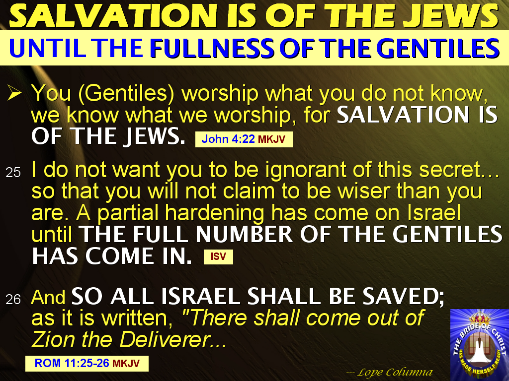 The BIBLE EXPLAINER & REVELATOR Q15 IF THE ARIZAL, RABBI SHIMON BAR