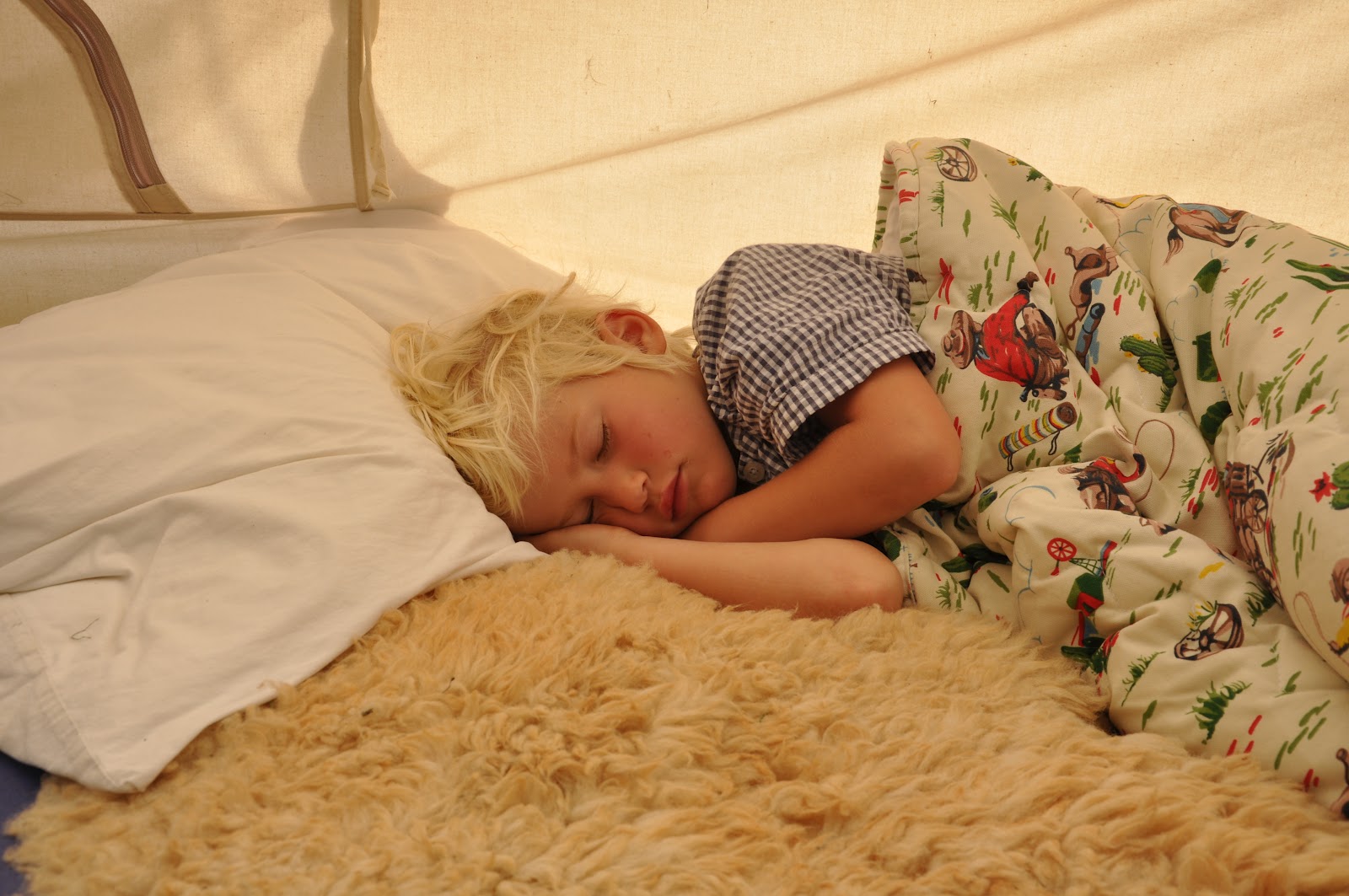 Bradshaw & Sons Camping with babies...