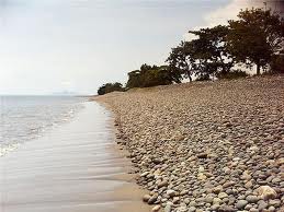 NATURE LEGACY: PANTAI CEPI WATU
