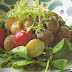 Ensalada de papitas cóctel y tomates